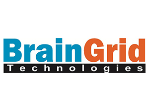 Brain-Grid